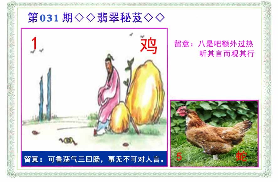 031期翡翠报[图]