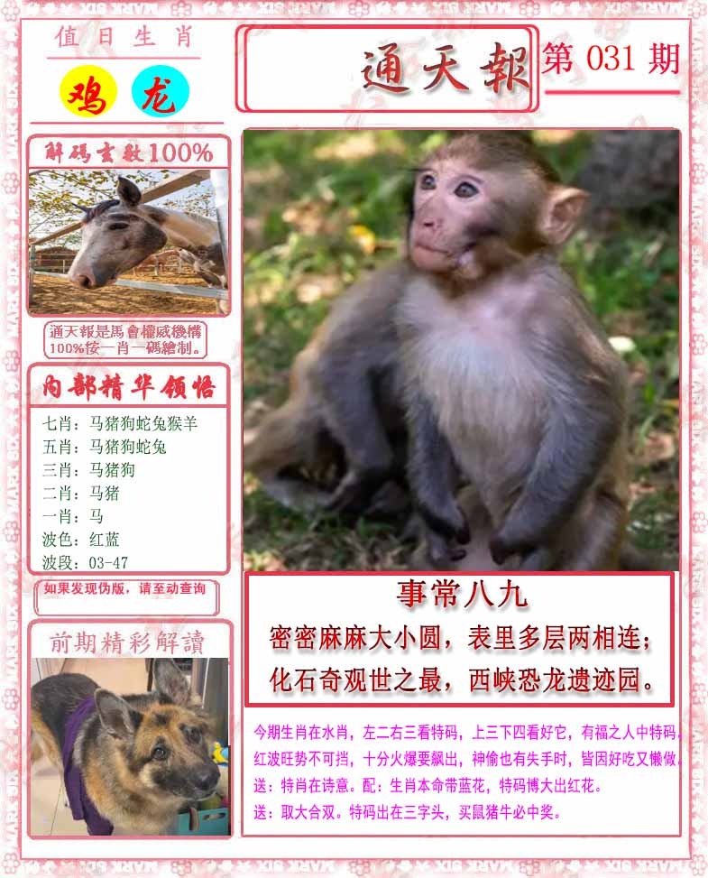 031期马经通天报[图]